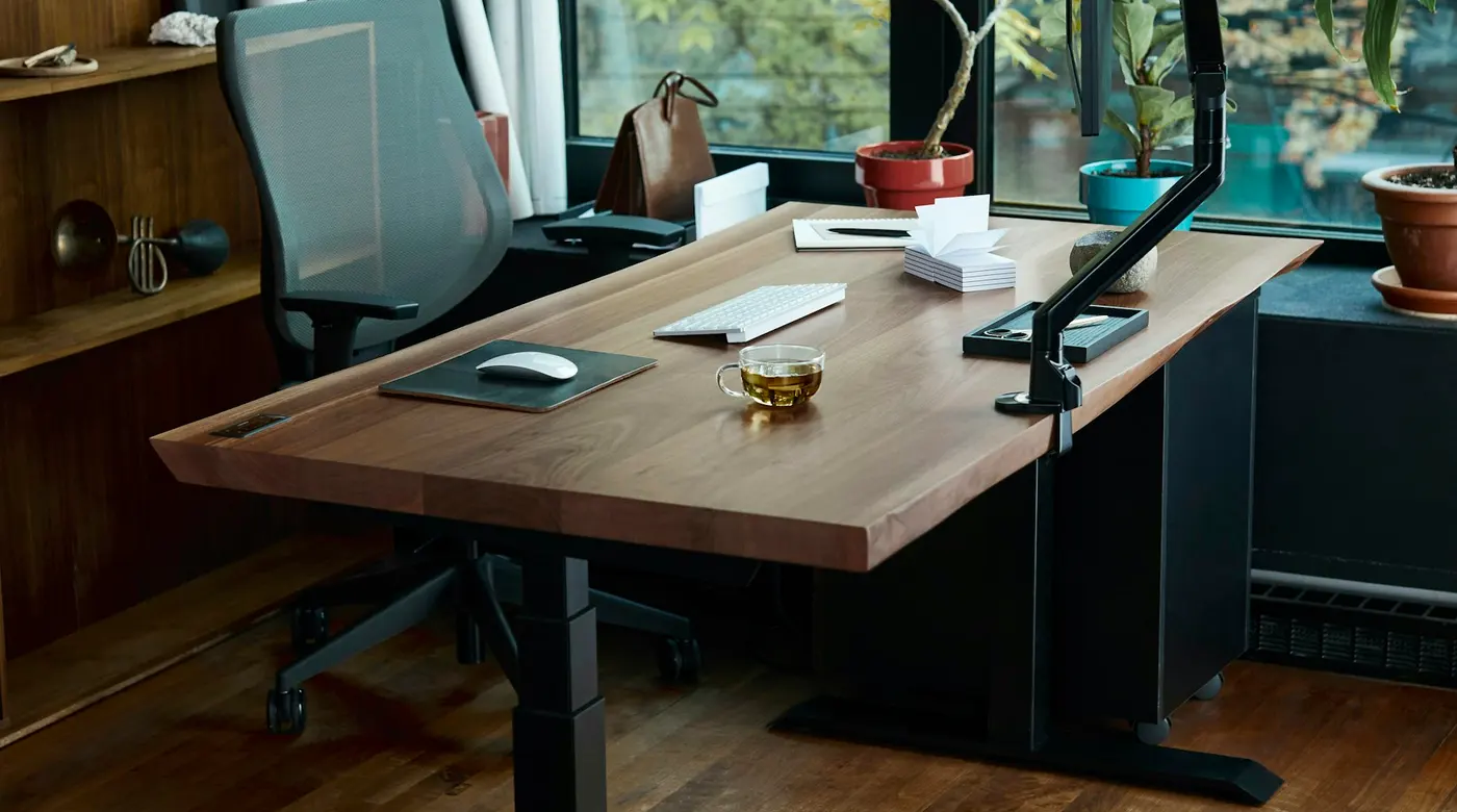 A wooden desk, computer and plants beside a sunlit window